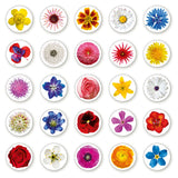 Memo-Spiel DOUBLEBLOOM mit 30 Blumen und Blüten
