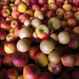 Die Obstschale BOULE mit Äpfeln